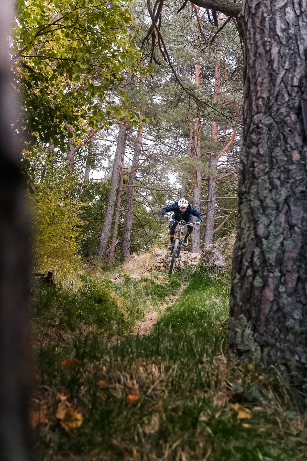 More alpine. More open. More raw.